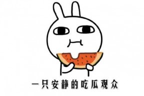 网络词吃瓜是什么意思,围观娱乐圈背后的真相